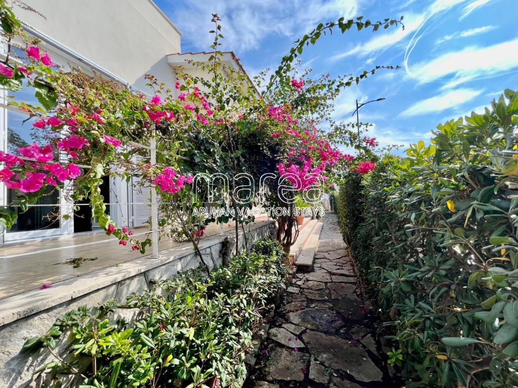 Villa Nauna, Fronte Mare Con Giardino E Terrazzo - Marea Collection Nardò Exteriör bild